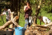 Landcare at Bellingen Bowling Club/Scout Hall