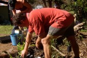 Landcare at Bellingen Bowling Club/Scout Hall