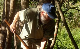 Landcare at Bellingen Bowling Club/Scout Hall