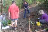 Landcare at Bellingen Bowling Club/Scout Hall