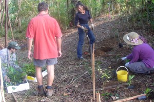 Landcare at Bellingen Bowling Club/Scout Hall