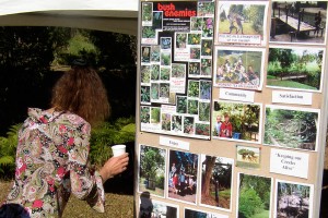 Ringwood Creek Bellingen Urban Landcare