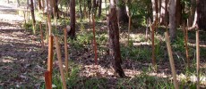 Ringwood Creek Bellingen